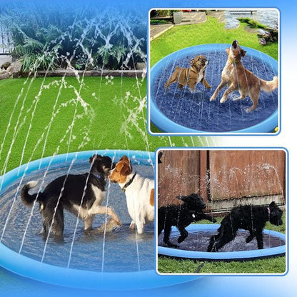 Chiens heureux jouant dans une piscine pour chien avec jets d’eau sous le soleil