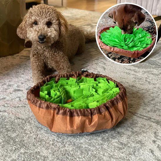 Tapis de fouille - CaniDétect - Dognpuppytoys